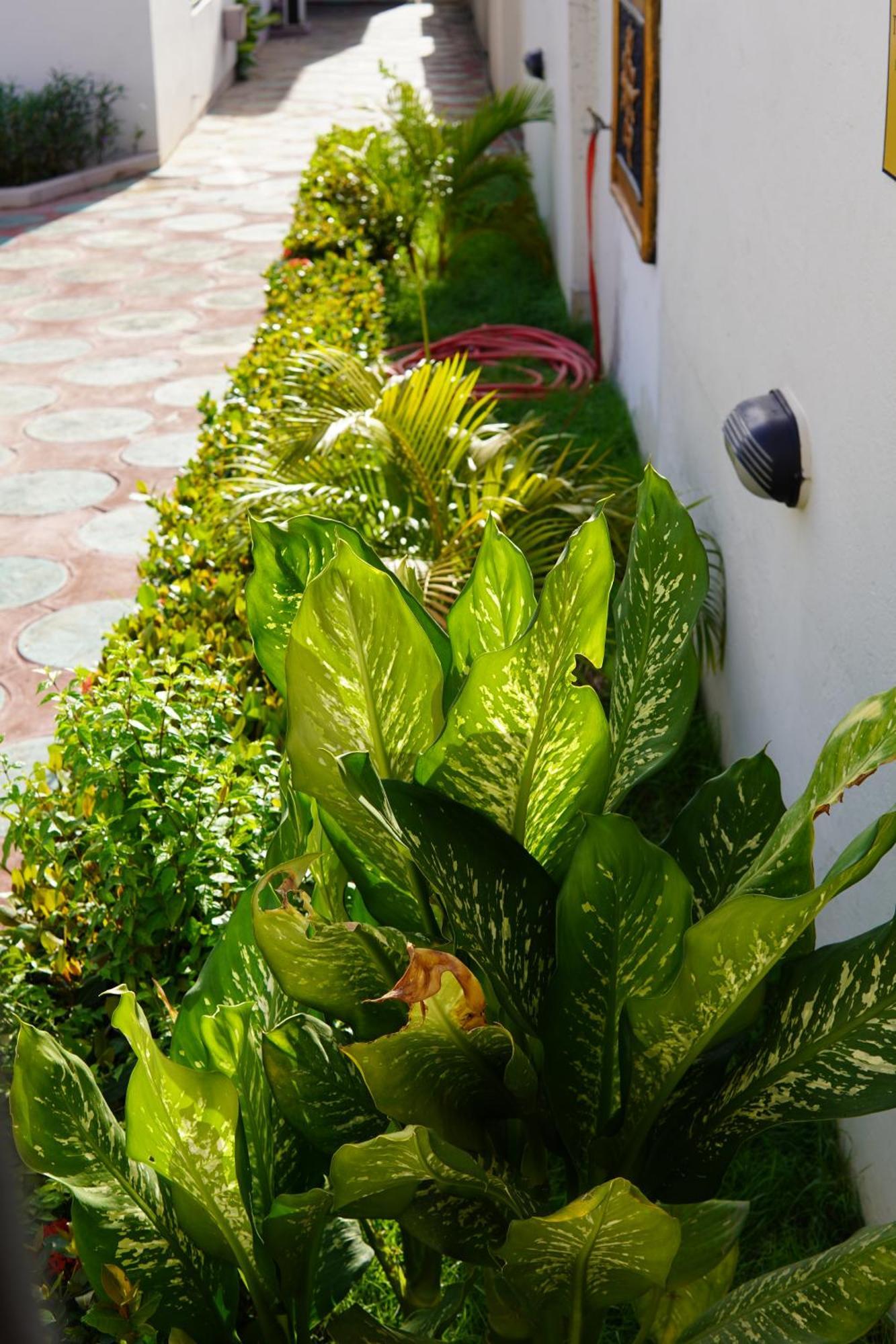 Prestige Guesthouse ,Ksi Kumasi Exteriör bild